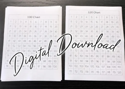May include: Two white sheets of paper featuring educational number grids. The left sheet is titled 100 Chart with numbers from 1 to 100 in a grid. The right sheet is titled 120 Chart with numbers from 1 to 120 in a grid. The text Digital Download is overlaid.